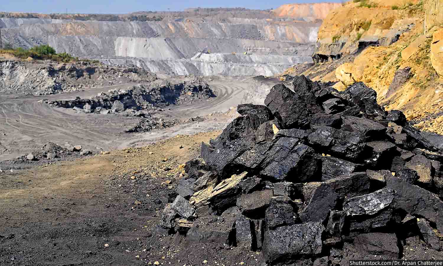 Downside risks looming in China’s met coal market in June’24