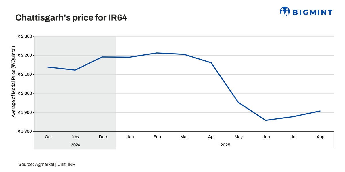 India: IR64 rice prices show volatility in past year; Chhattisgarh’s procurement remains strong