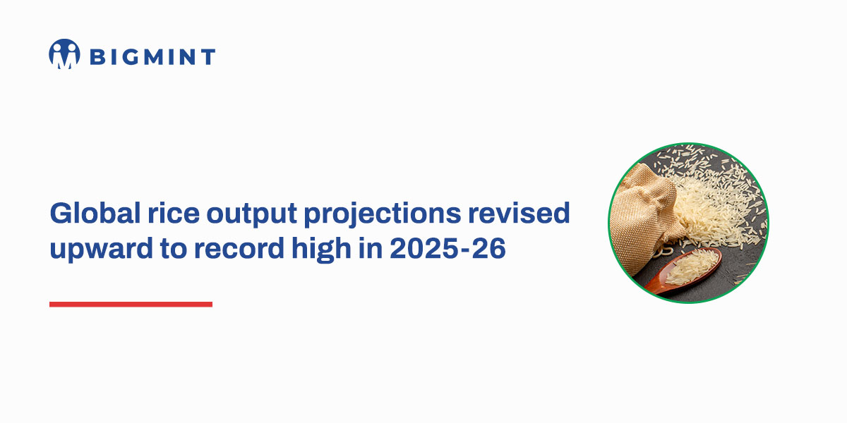 Global rice output projections revised upward to record high in 2025-26