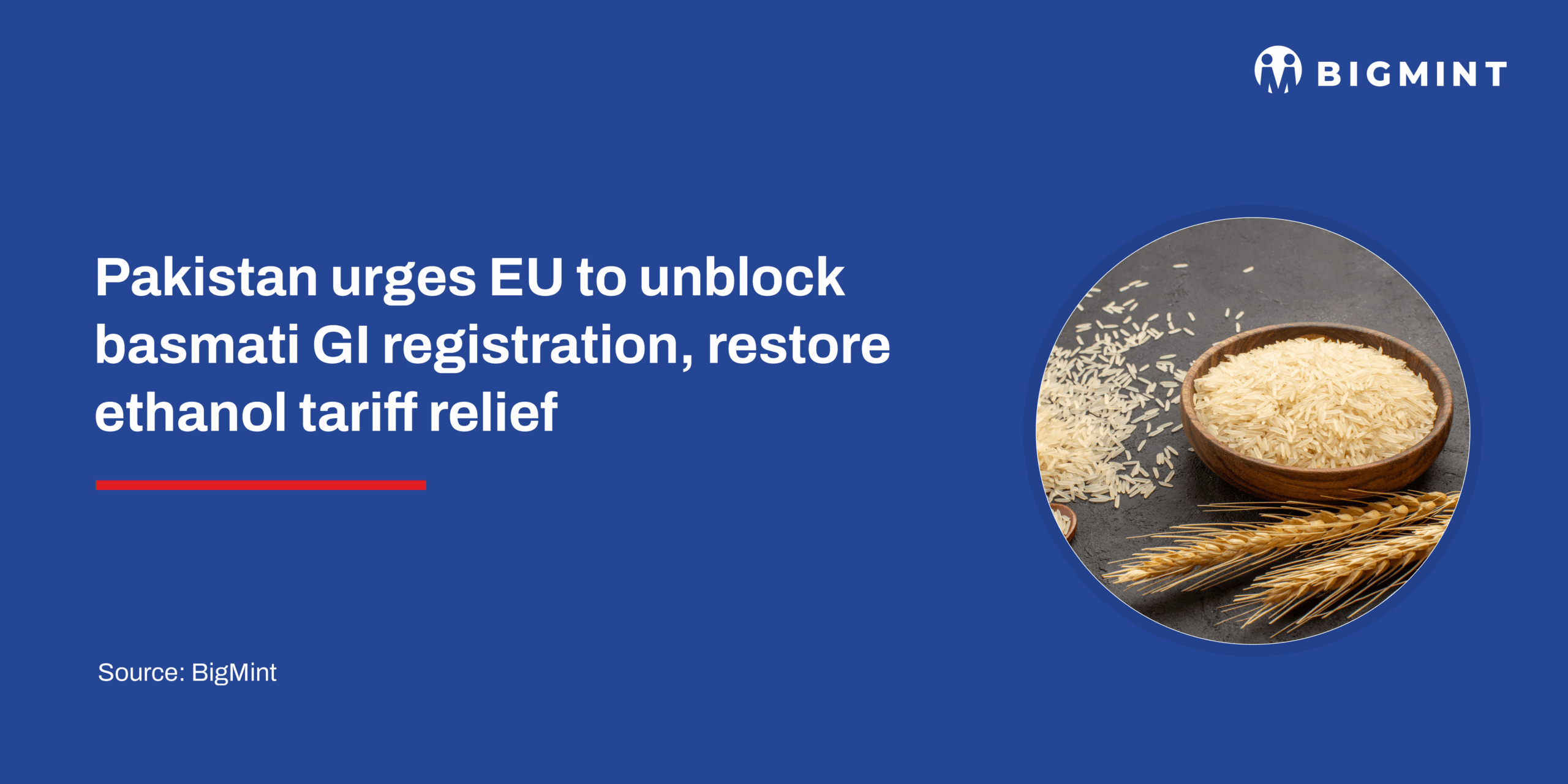 Pakistan urges EU to unblock basmati GI registration, restore ethanol tariff relief