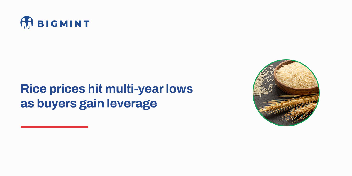 Rice prices hit multi-year lows as buyers gain leverage