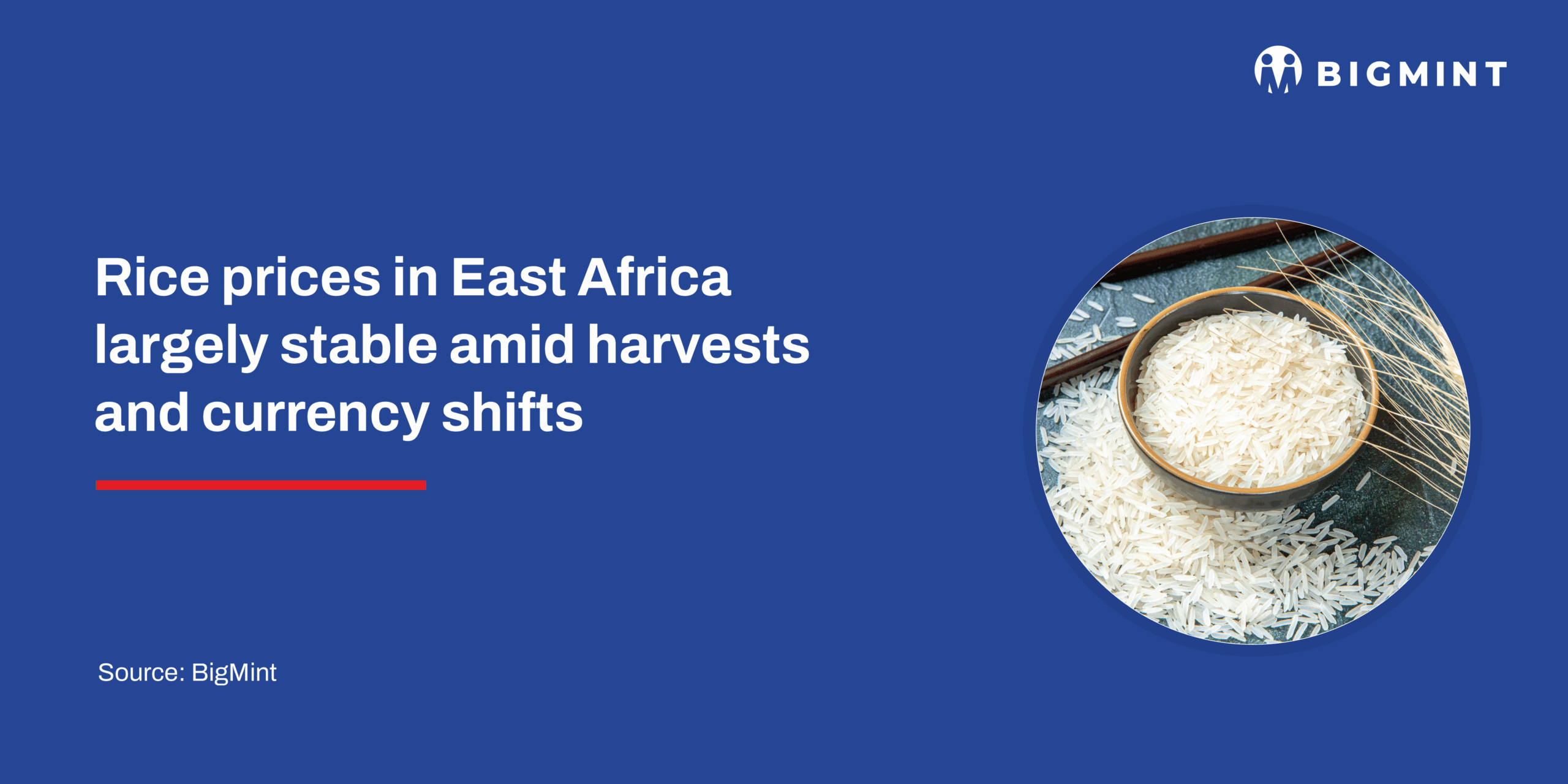 Rice prices in East Africa largely stable amid harvests and currency shifts