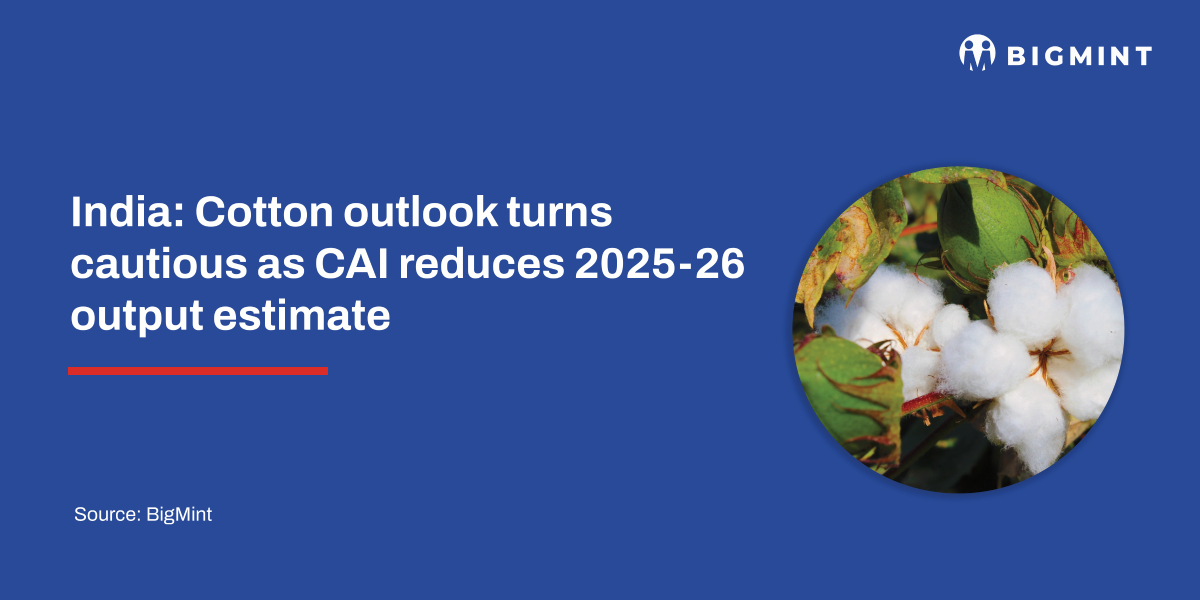 India: Cotton outlook turns cautious as CAI reduces 2025-26 output estimate
