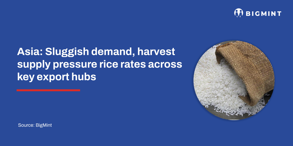 Asia: Sluggish demand, harvest supply pressure rice rates across key export hubs