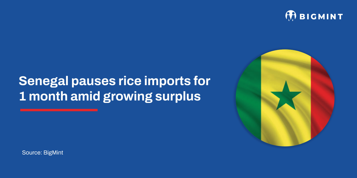 Senegal pauses rice imports for 1 month amid growing surplus