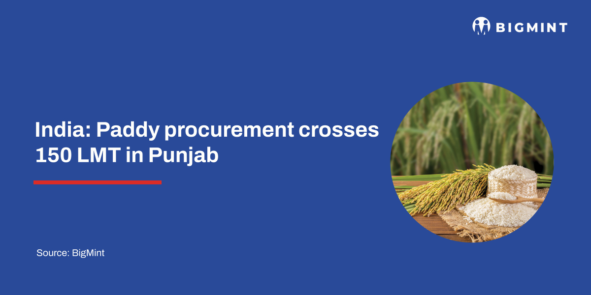India: Paddy procurement crosses 150 LMT in Punjab