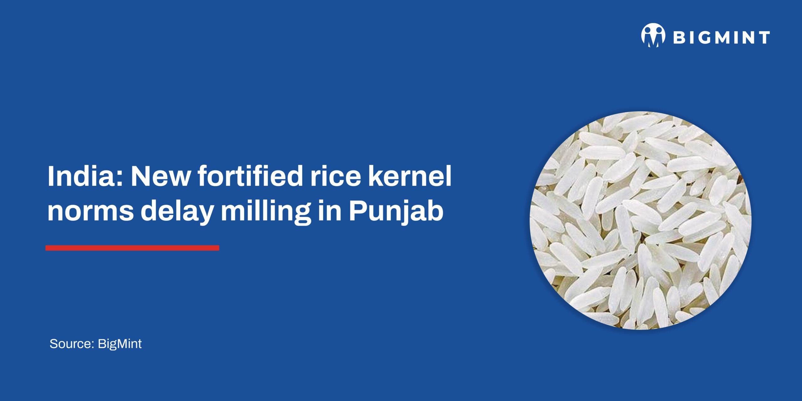 India: New fortified rice kernel norms delay milling in Punjab