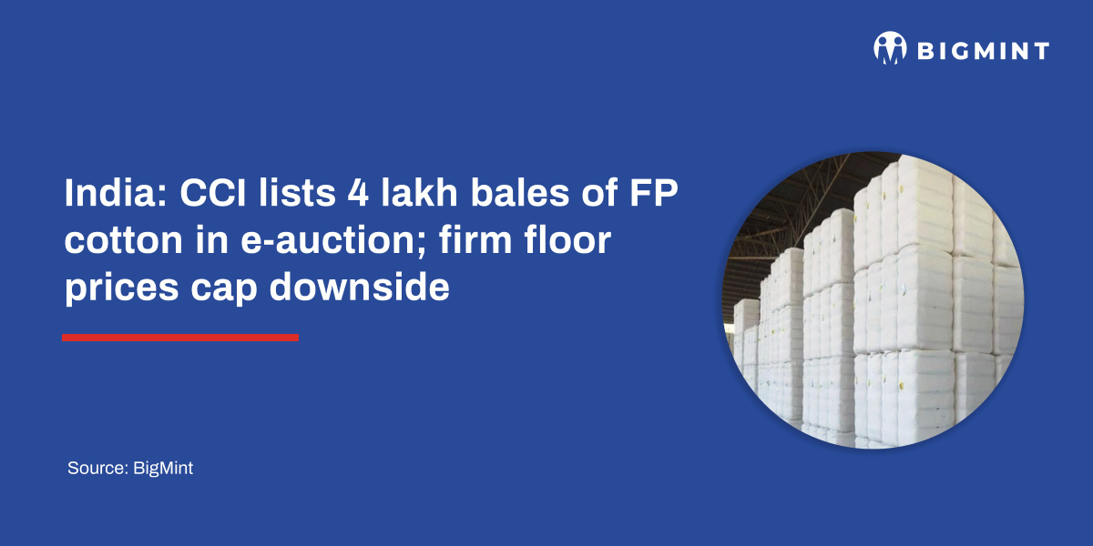 India: CCI lists 4 lakh bales of FP cotton in e-auction; firm floor prices cap downside