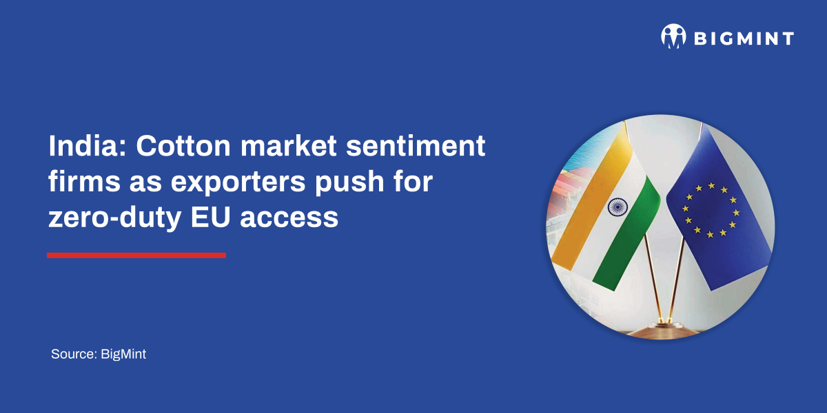 India: Cotton market sentiment firms as exporters push for zero-duty EU access