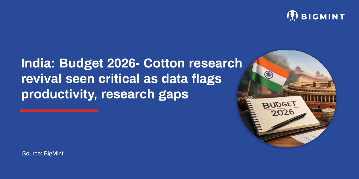 India: Budget 2026- Cotton research revival seen critical as data flags productivity, research gaps