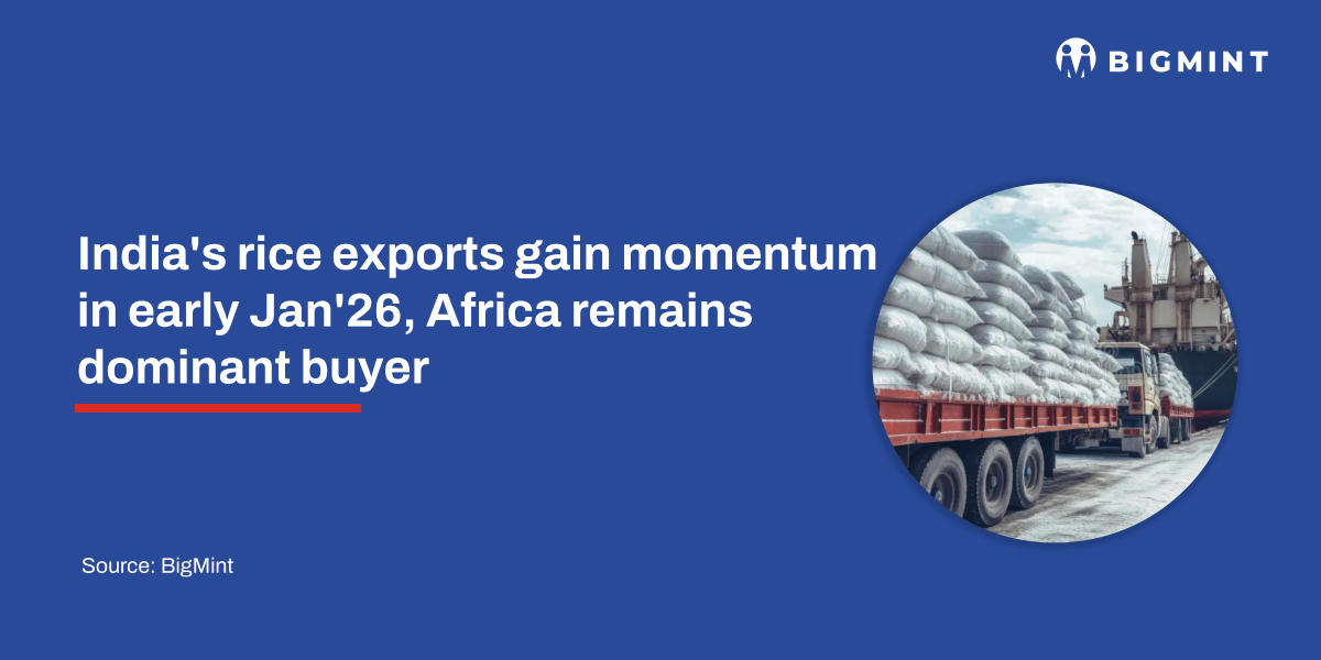 India’s rice exports gain momentum in early Jan’26, Africa remains dominant buyer