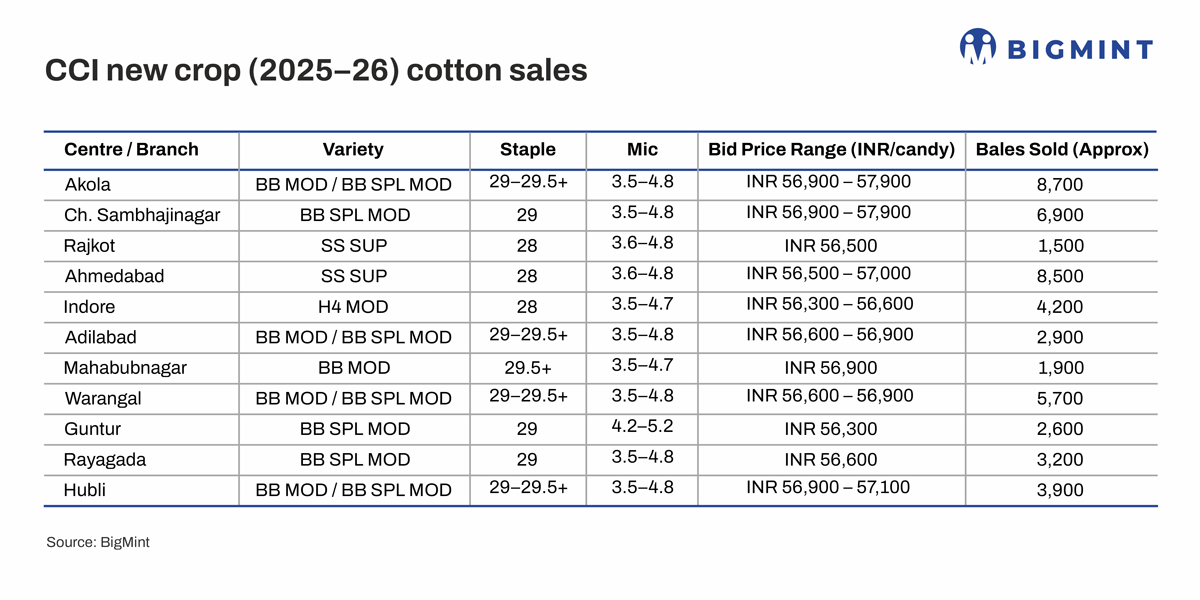 India: CCI sells over 1 lakh cotton bales in one day; steady kapas procurement keeps prices supported