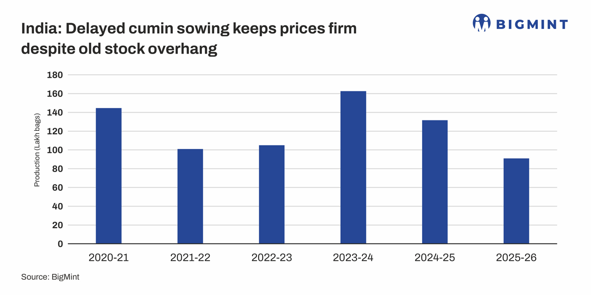 India: Delayed cumin sowing keeps prices firm despite old stock overhang