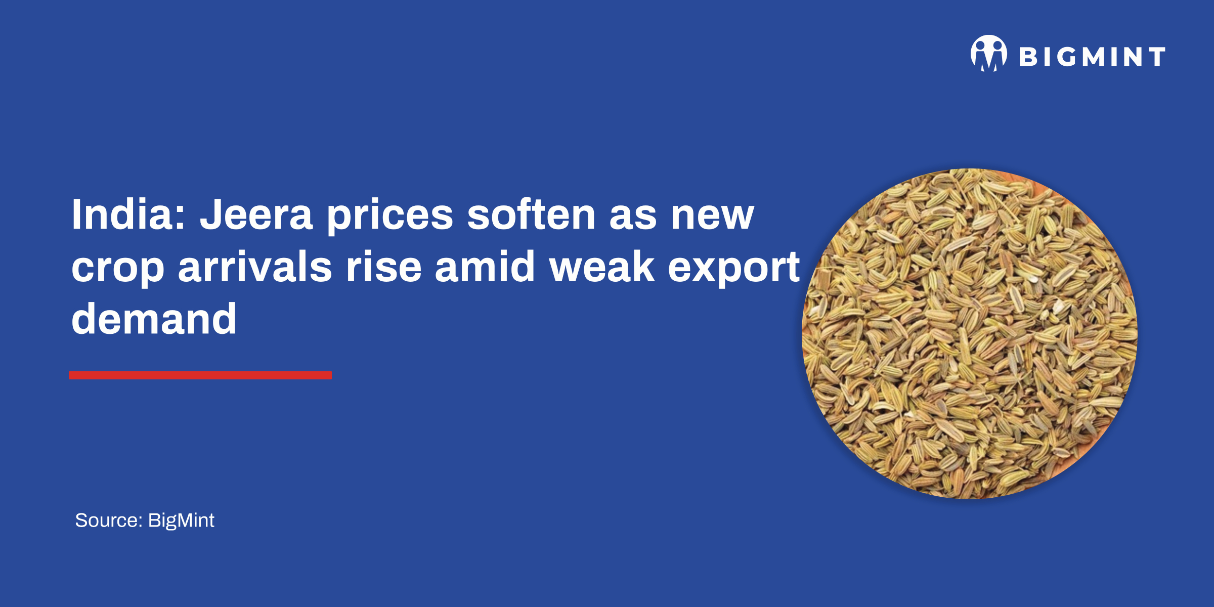 India: Jeera prices soften as new crop arrivals rise amid weak export demand