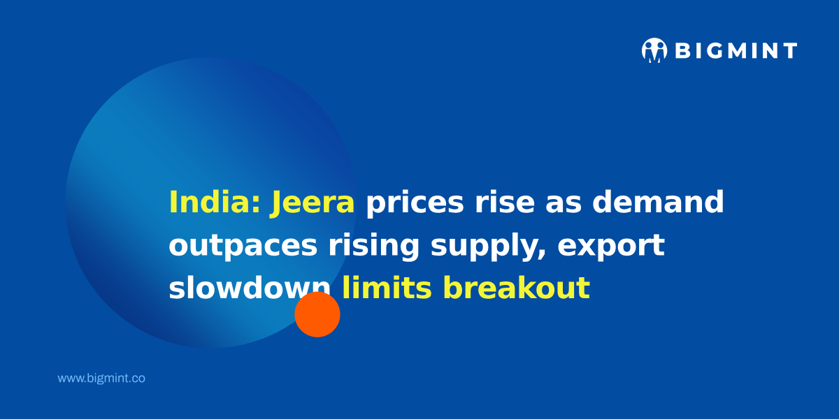 India: Jeera prices rise as demand outpaces rising supply, export slowdown limits breakout