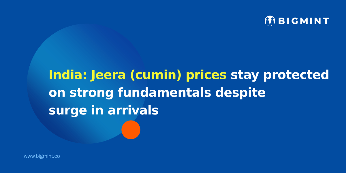 India: Jeera (cumin) prices stay protected on strong fundamentals despite surge in arrivals