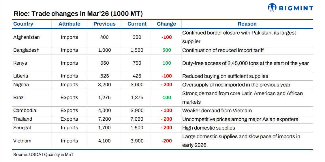 Global rice output steady in 2025/26 as trade softens; India stocks rise