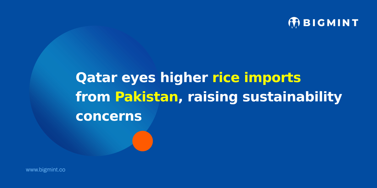Qatar eyes higher rice imports from Pakistan, raising sustainability concerns