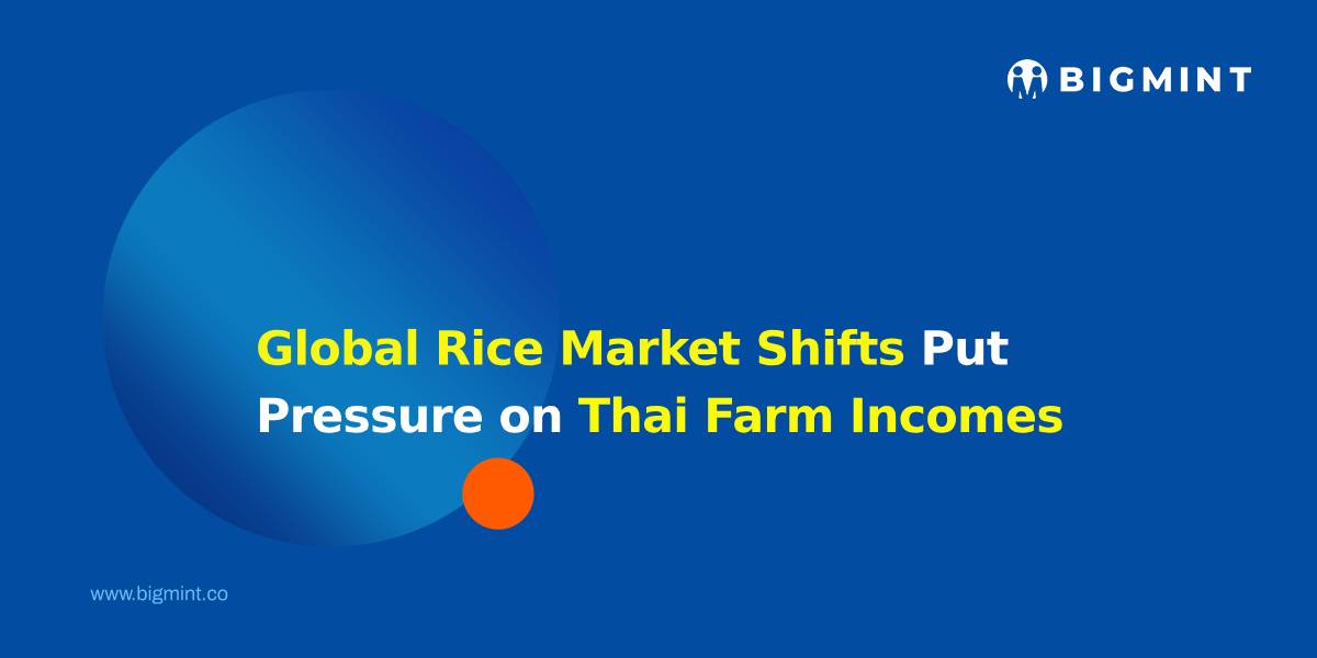 Global Rice Market Shifts Put Pressure on Thai Farm Incomes   