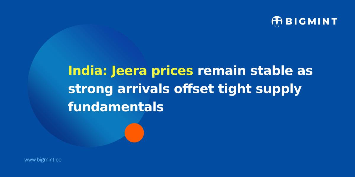 India: Jeera prices remain stable as strong arrivals offset tight supply fundamentals