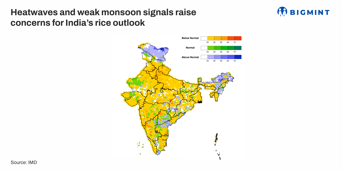 Heatwaves and weak monsoon signals raise concerns for India’s rice outlook