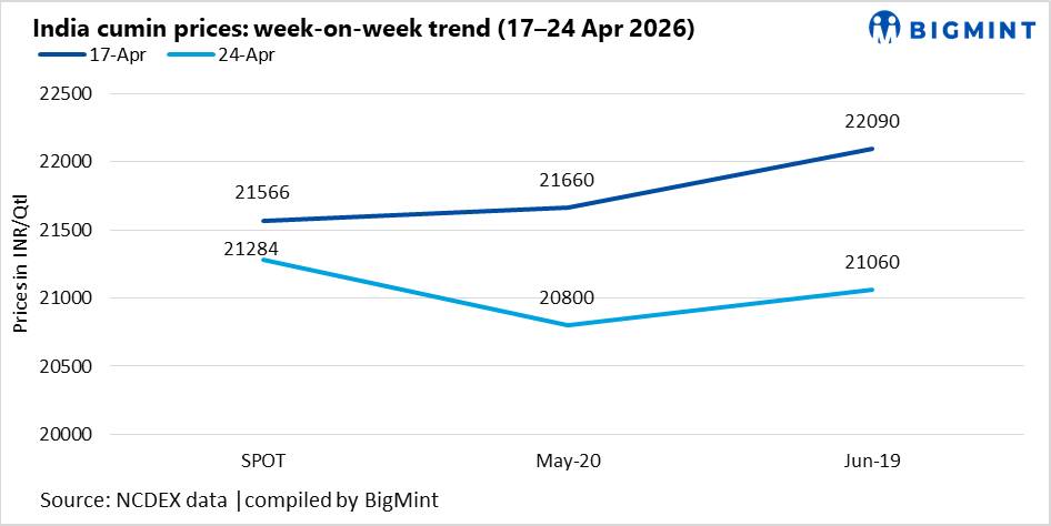 Indian cumin market weakens w-o-w as demand fades, short build-up intensifies