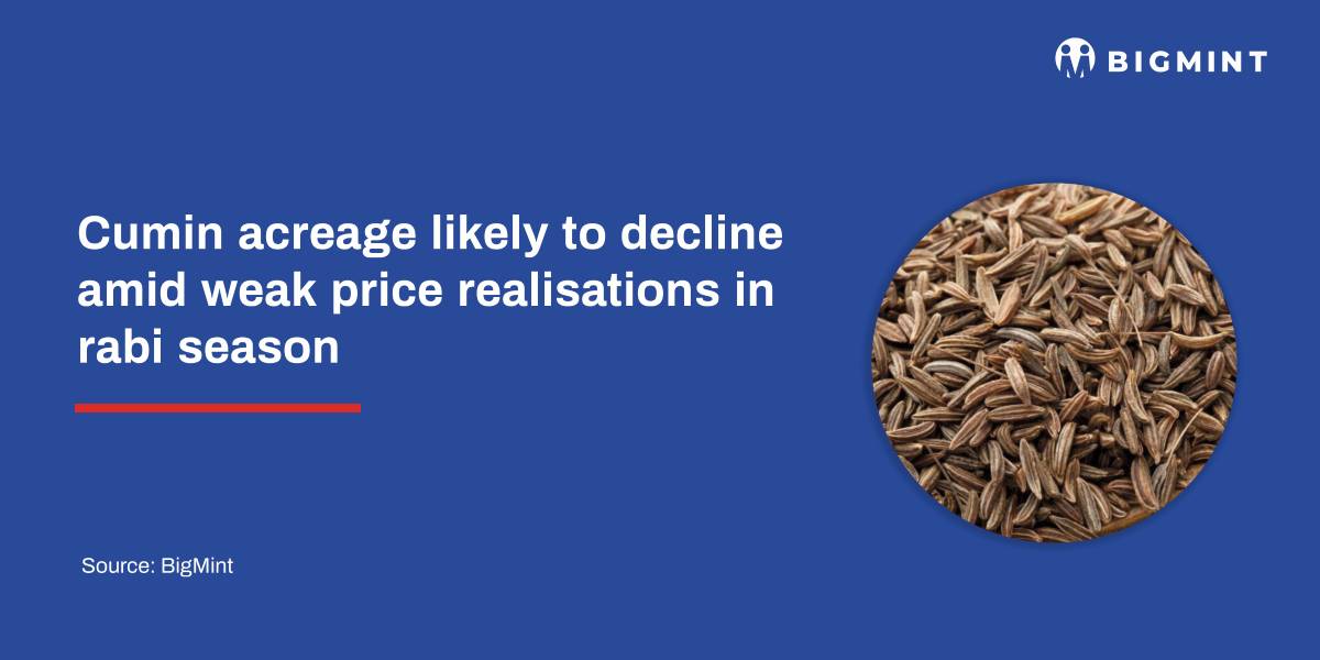 Cumin acreage likely to decline amid weak price realisations in rabi season