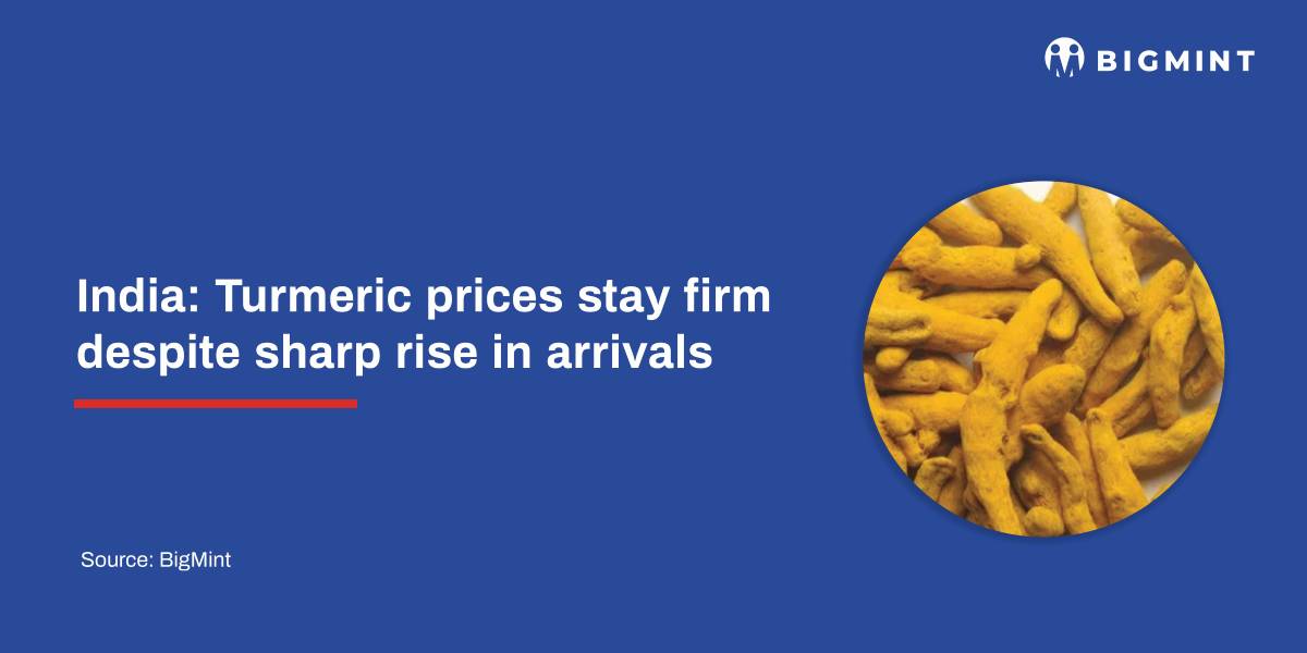 India: Turmeric prices stay firm despite sharp rise in arrivals