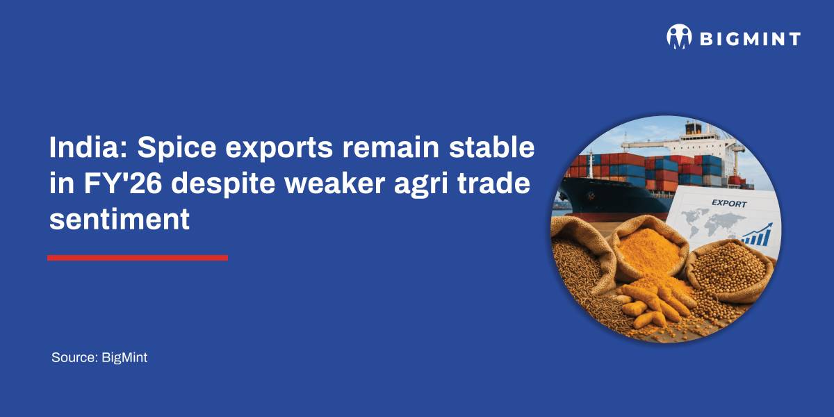 India: Spice exports remain stable in FY’26 despite weaker agri trade sentiment