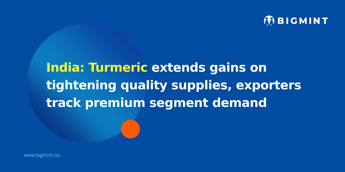 India: Turmeric extends gains on tightening quality supplies, exporters track premium segment demand