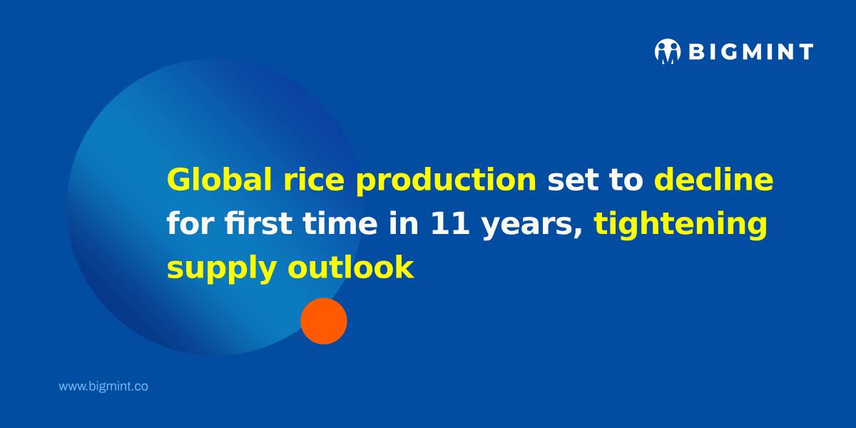 Global rice production set to decline for first time in 11 years, tightening supply outlook