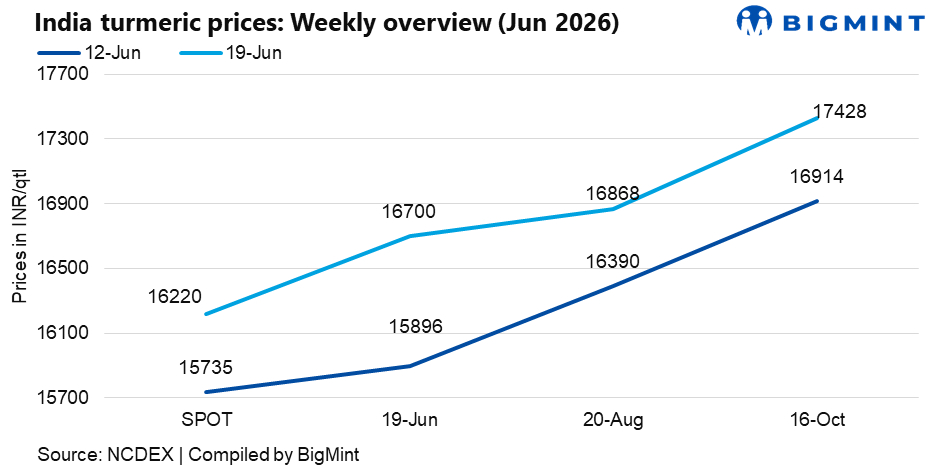 India: Turmeric market firms as arrivals decline and futures gain support