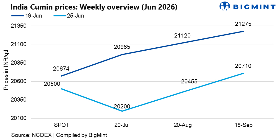India: Cumin prices decline on profit booking despite lower arrivals