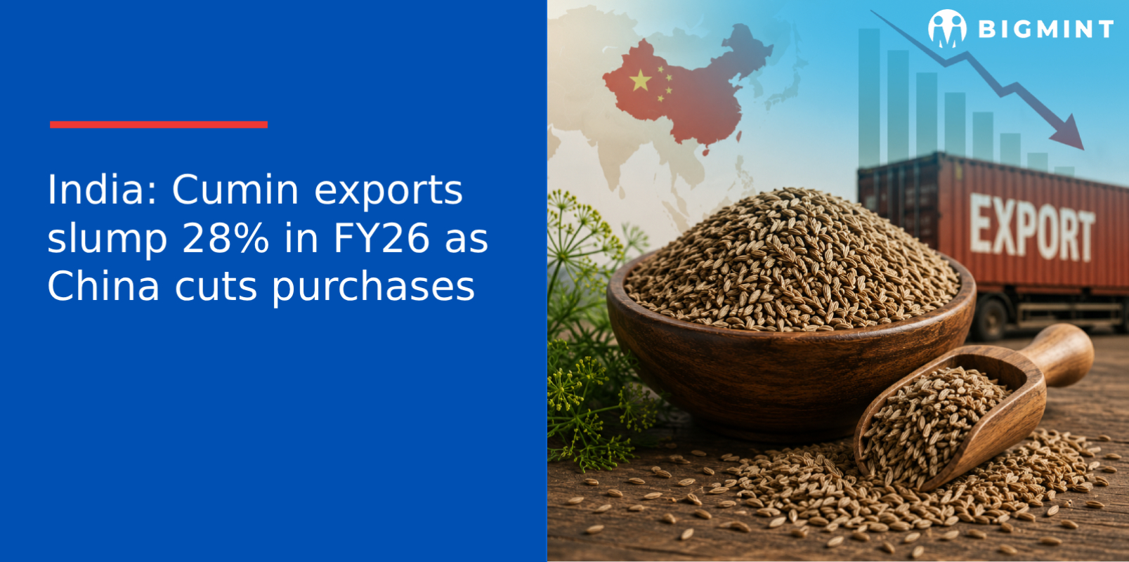 India: Cumin exports slump 28% in FY26 as China cuts purchases