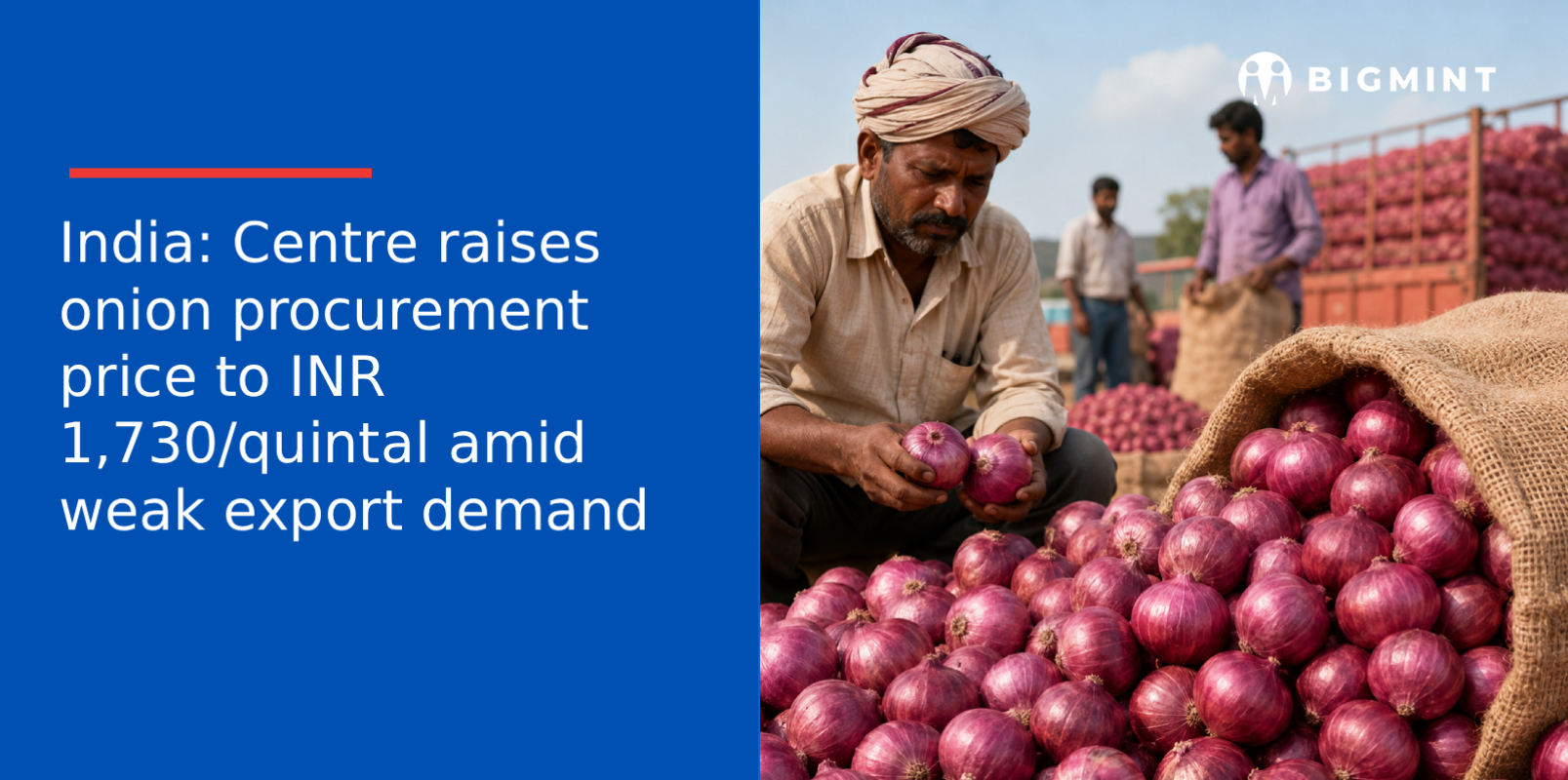 India: Centre raises onion procurement price to INR 1,730/quintal amid weak export demand