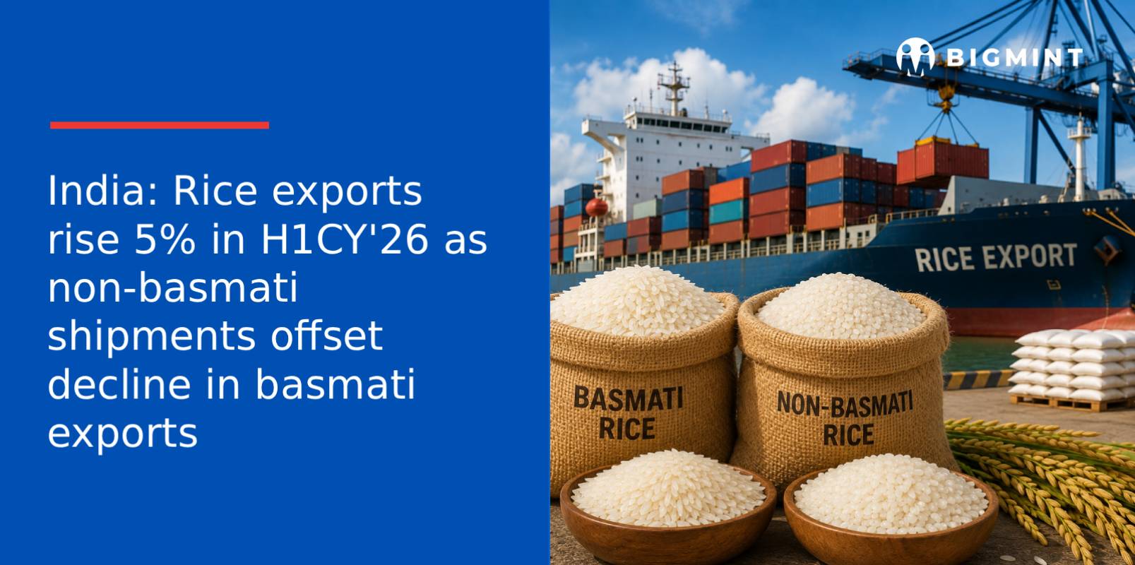 India: Rice exports rise 5% in H1CY’26 as non-basmati shipments offset decline in basmati exports