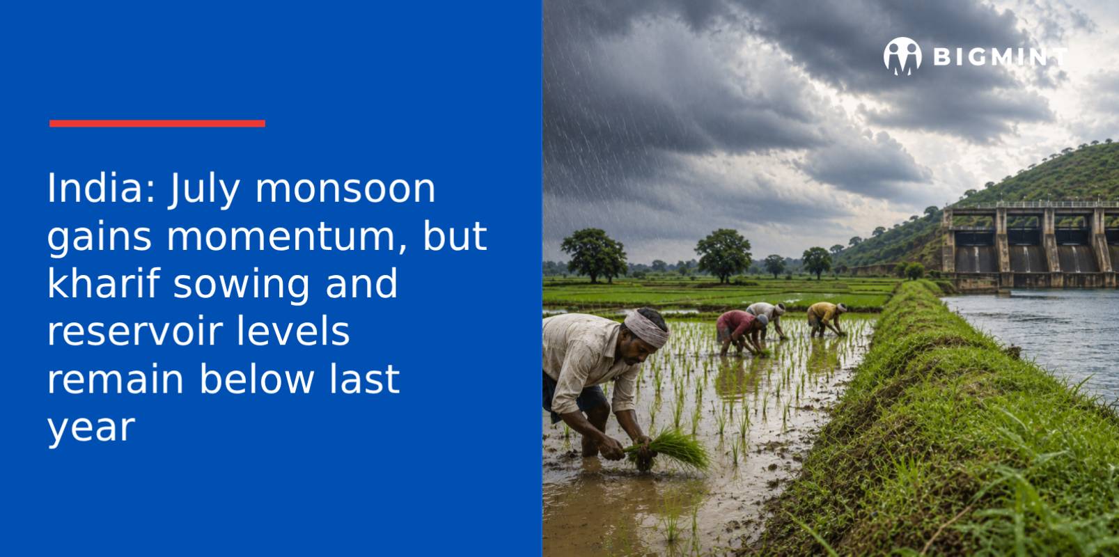 India: July monsoon gains momentum, but kharif sowing and reservoir levels remain below last year