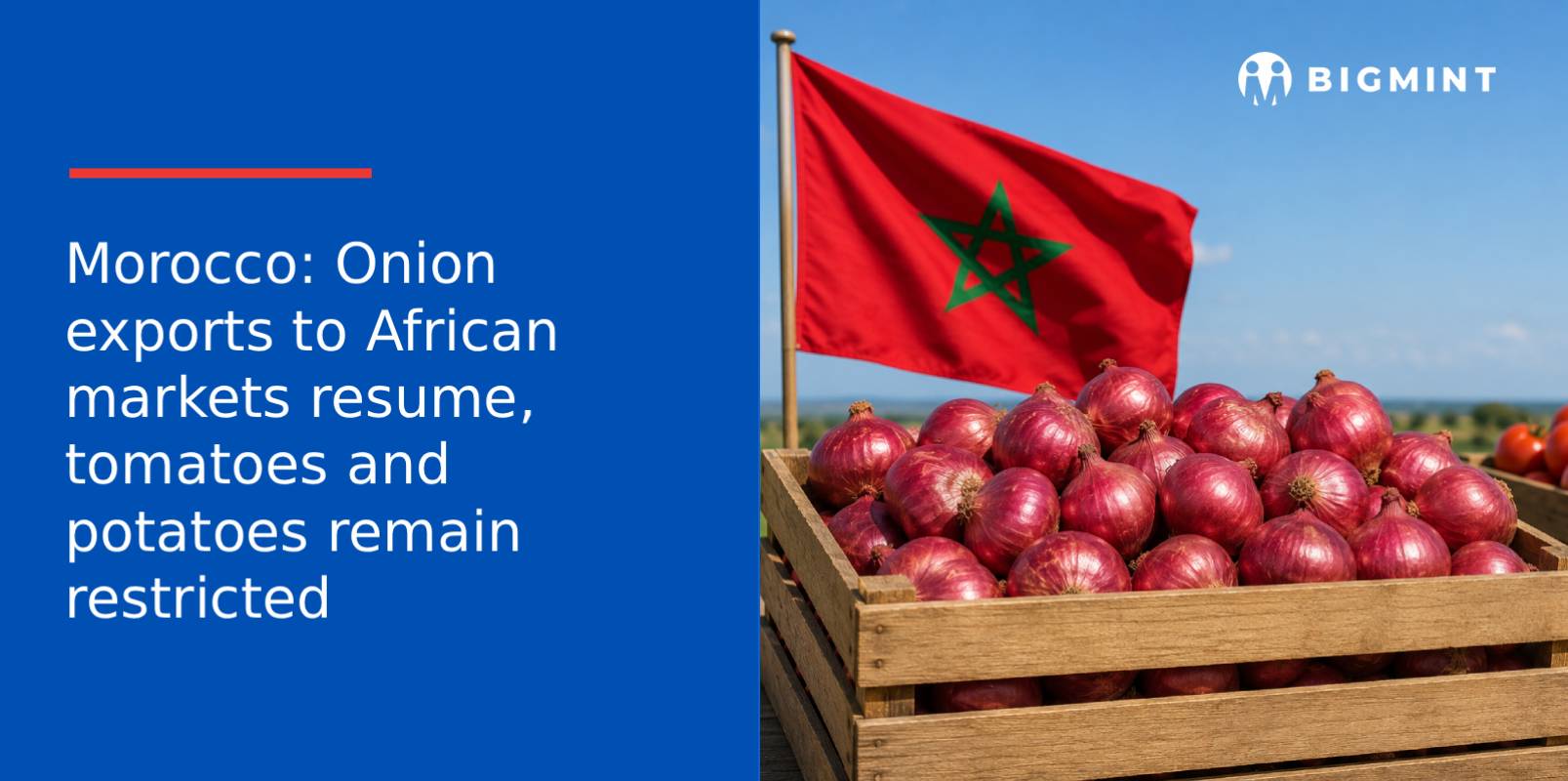 Morocco: Onion exports to African markets resume, tomatoes and potatoes remain restricted