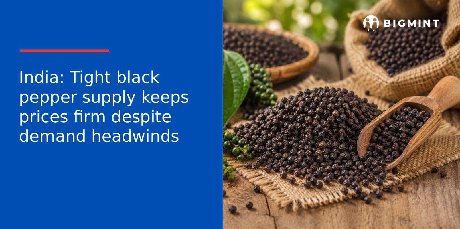India: Tight black pepper supply keeps prices firm despite demand headwinds
