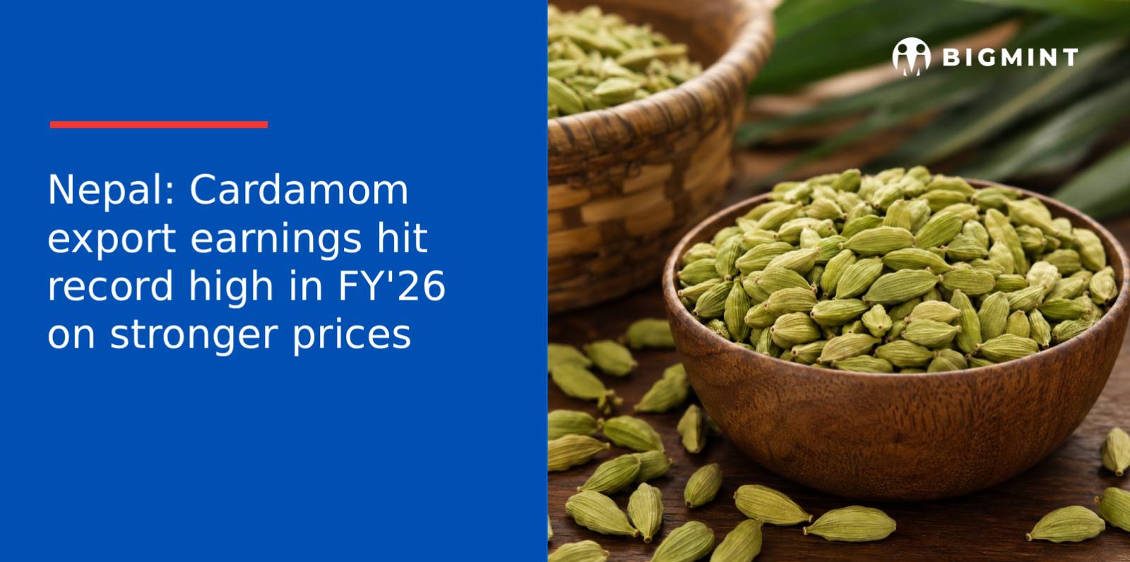 Nepal: Cardamom export earnings hit record high in FY’26 on stronger prices