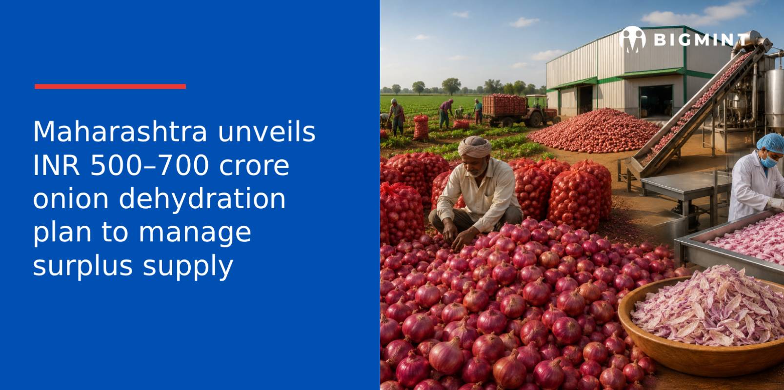 Maharashtra unveils INR 500-700 crore onion dehydration plan to manage surplus supply