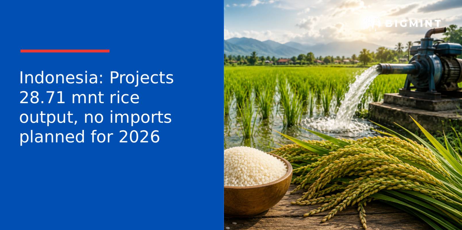 Indonesia: Projects 28.71 mnt rice output, no imports planned for 2026