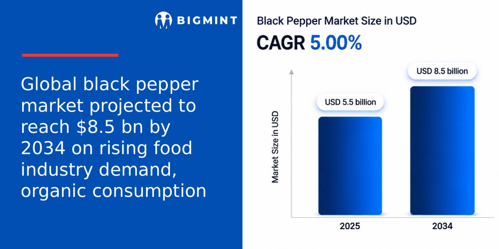 Global black pepper market projected to reach $8.5 bn by 2034 on rising food industry demand, organic consumption