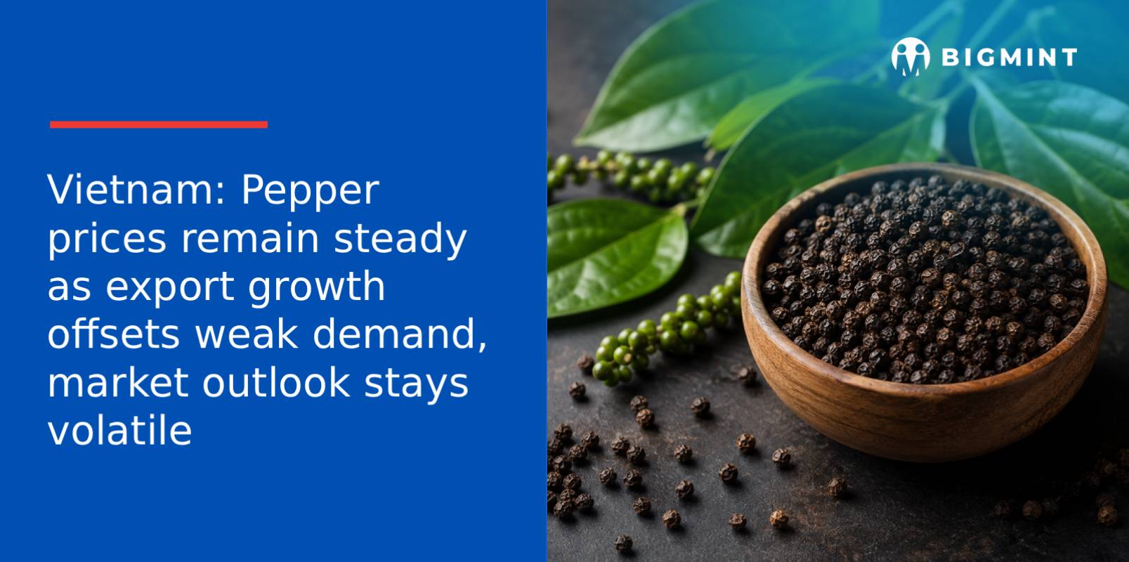 Vietnam: Pepper prices remain steady as export growth offsets weak demand, market outlook stays volatile