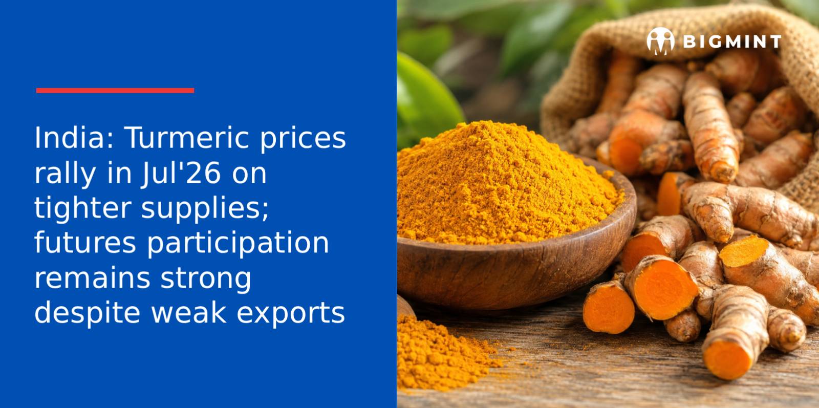 India: Turmeric prices rally in Jul’26 on tighter supplies; futures participation remains strong despite weak exports