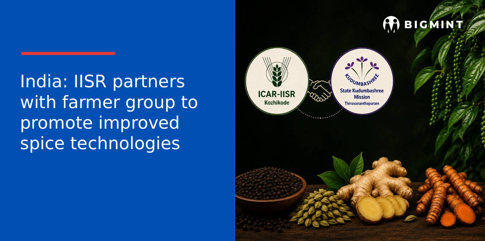 India: IISR partners with farmer group to promote improved spice technologies