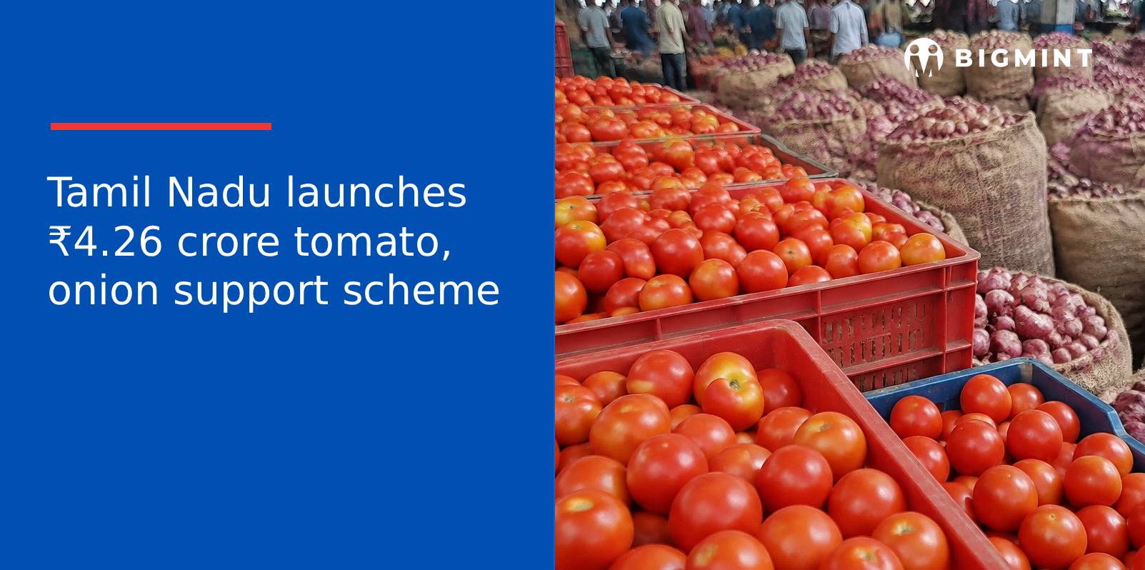 Tamil Nadu launches ₹4.26 crore tomato, onion support scheme