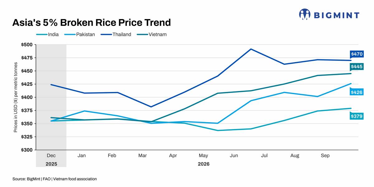 India’s rice exports face tighter shipment economics – BigMint analysis 