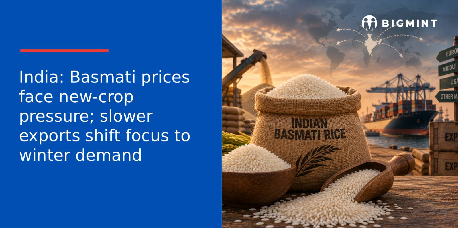 India: Basmati prices face new-crop pressure; slower exports shift focus to winter demand