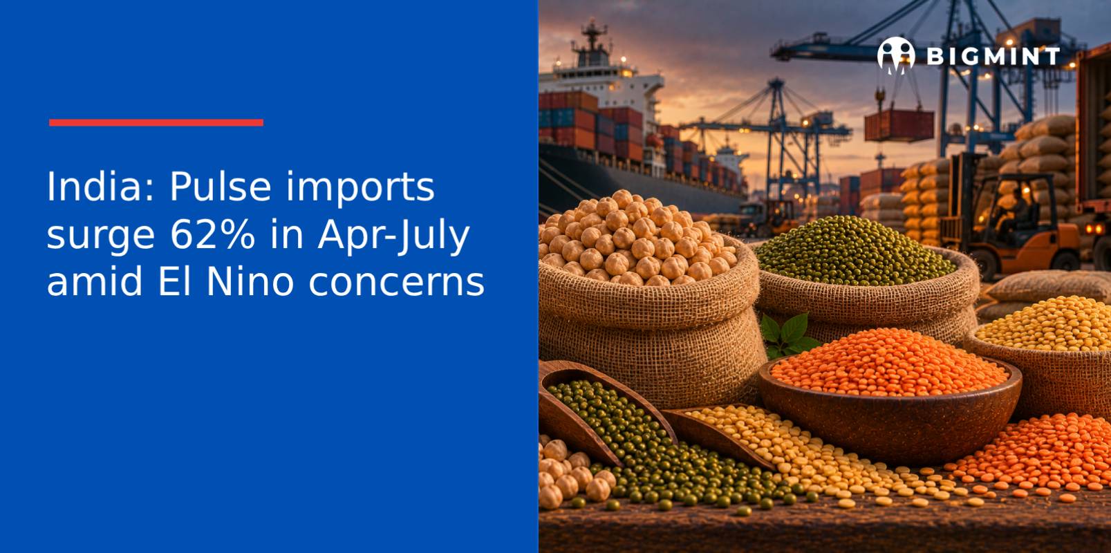 India: Pulse imports surge 62% in Apr-July amid El Nino concerns